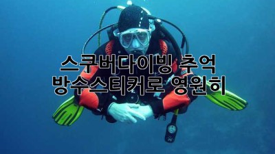 스쿠버다이빙 추억, 방수스티커로 영원히! 🌊🤿