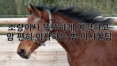 📦💨 소량이사, 똑똑하게 예약하고 맘 편히 이사하는 법! #이사꿀팁
